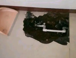 平原卫生间测漏水多少钱
